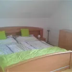 Masch Daire Arriach