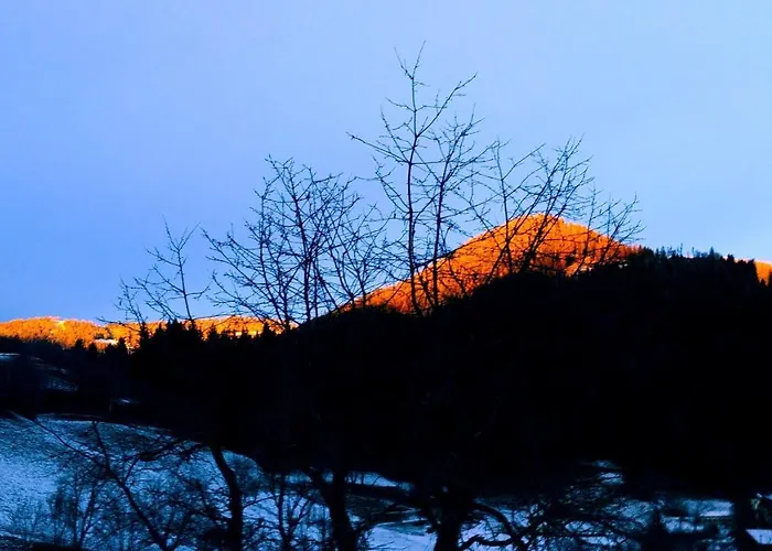 Διαμέρισμα Masch